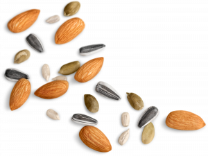 mixed nuts spread over a table