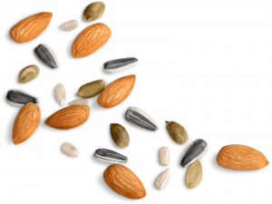 mixed nuts on table